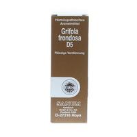 Grifola Frondosa D5 null