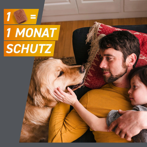 Frontpro Chew Hunde S Vet 3 St Boehringer Ingelheim Vetmedica Gmbh bei onfy.de kaufen 18654280