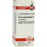Fucus Vesicul C30 null
