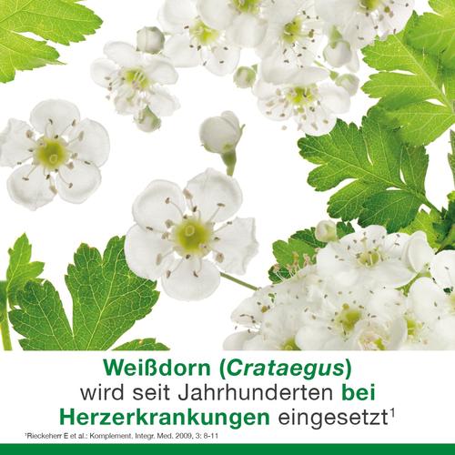 Cratae-Loges 450 mg Weißdorn 100 St Dr. Loges bei onfy.de kaufen 17611311