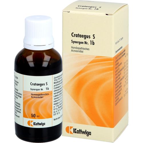 Synergon Komplex Crataegus S Nr. 1B 50 ml Kattwiga Arzneimittel bei onfy.de kaufen 19184741