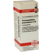 Harpagophytum Procum D30 null