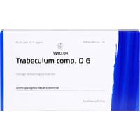Trabeculum Comp. D6