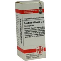 Candida Albicans C200 null