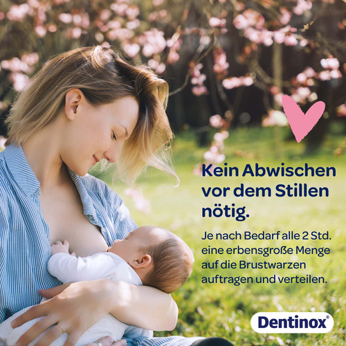 Dentinox Stillcreme 30 ml Dentinox Gesellschaft für pharmazeutische Präparate bei onfy.de kaufen 19144718