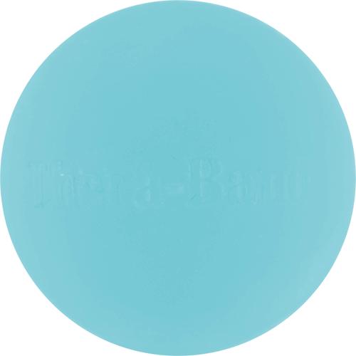 Thera-Band Handtrainer Blau-Hart 1 St Ludwig Artzt bei onfy.de kaufen 01028070