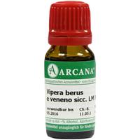 Vipera Berus Arca Lm 18 null
