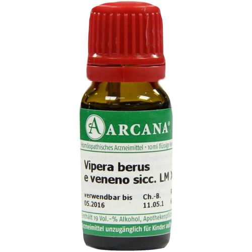Vipera Berus Arca Lm 18 10 ml ARCANA Dr. Sewerin bei onfy.de kaufen 03503316