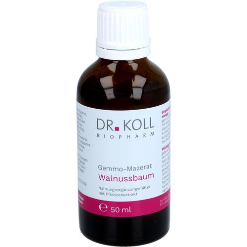 Gemmo-Mazerat Walnussbaum Dr. Koll Juglans Regia 50 ml Dr. Koll Biopharm bei onfy.de kaufen 20059917