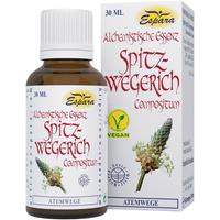 Spitzwegerich Compositum Alchemistische Essenz null