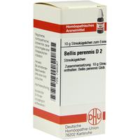 Bellis Perennis D 2 null