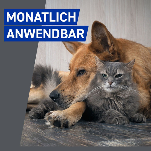 Frontline Vet 100 ml Boehringer Ingelheim Vetmedica Gmbh bei onfy.de kaufen 07579664