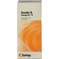 Synergon Kompl Aescul N 13 null