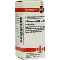 Luffa Opercul C200 null