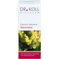 Gemmo-Mazerat Weinrebe Dr. Koll Vitis Vinifera null