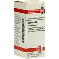 Ledum D 6 null