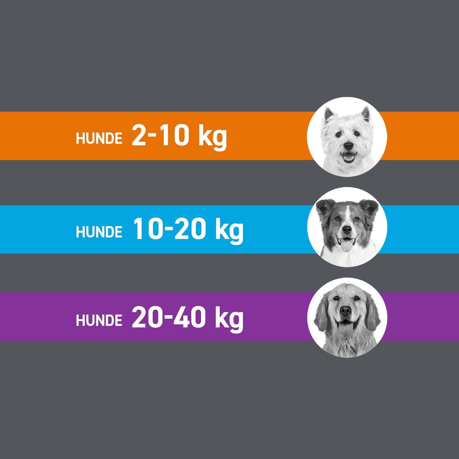 Frontline Spot On H 20 Vet 6 St Boehringer Ingelheim Vetmedica Gmbh bei onfy.de kaufen 02246395