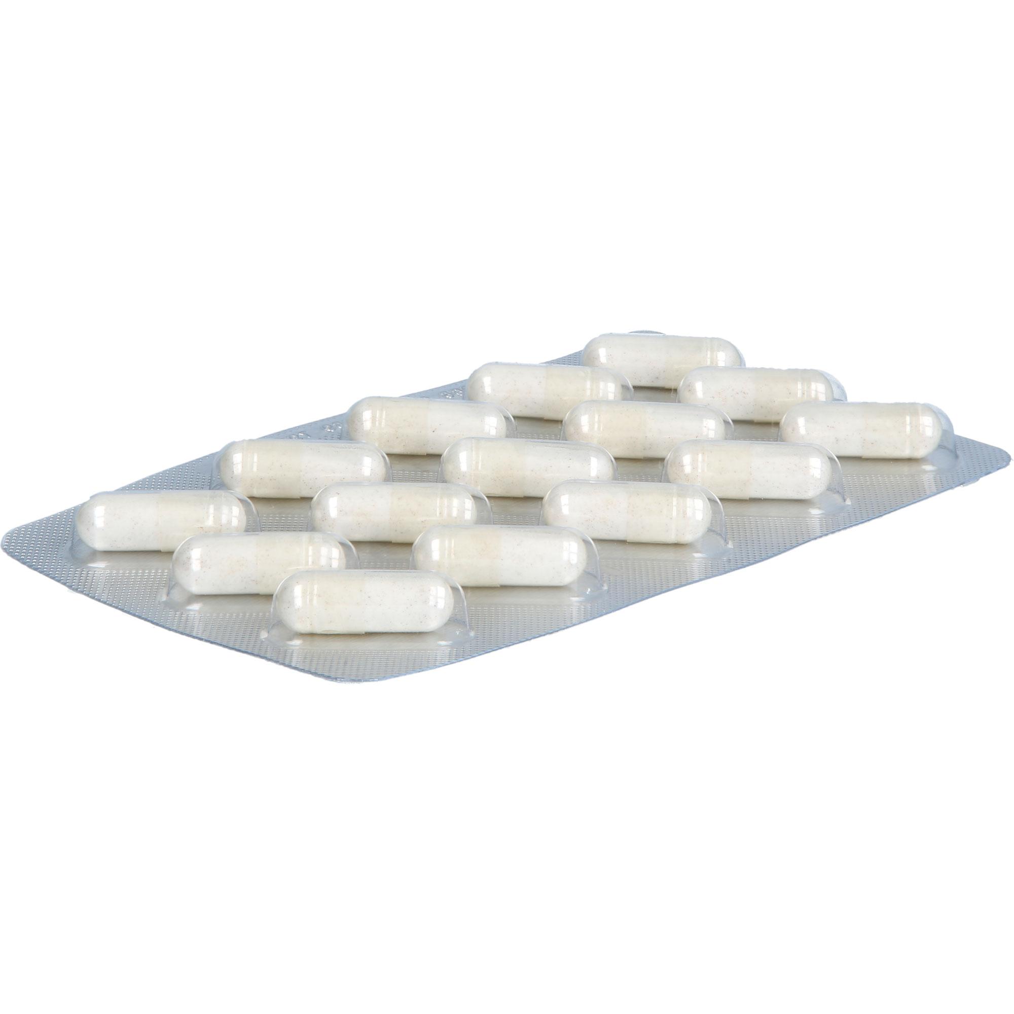 Agnumens Comp 20 mg 60 St Hecht-Pharma bei onfy.de kaufen 19808207