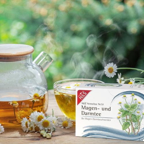 H&S Magen- und Darmtee 20x2.0 g H&S Tee - Gesellschaft bei onfy.de kaufen 18033075