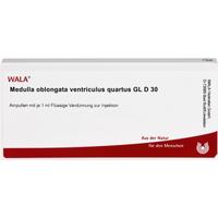 Medulla Ob (ven Qu) Gl D30 null