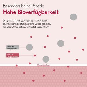 Erfahrungen mit Puresgp Kollagen Peptide - 108 Kundenbewertungen | onfy.de 19120155