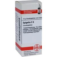 Spigelia C 6 null