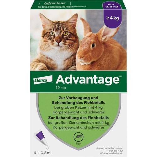 Advantage 80mg Katz+Zierka 4x0.8 ml Elanco Deutschland Gmbh bei onfy.de kaufen 09670104