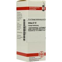 Urtica D12 null