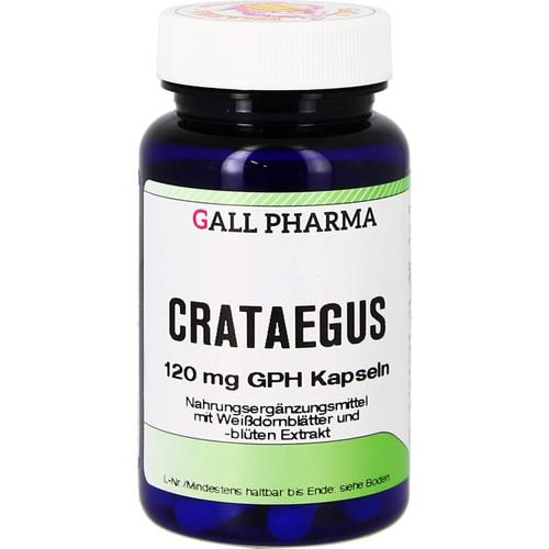 Crataegus 120 mg Gph Kapseln 360 St Hecht-Pharma bei onfy.de kaufen 03438441
