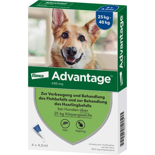 Advantage 400 Hund Pipette 1x4 St Elanco Deutschland Gmbh bei onfy.de kaufen 00334178