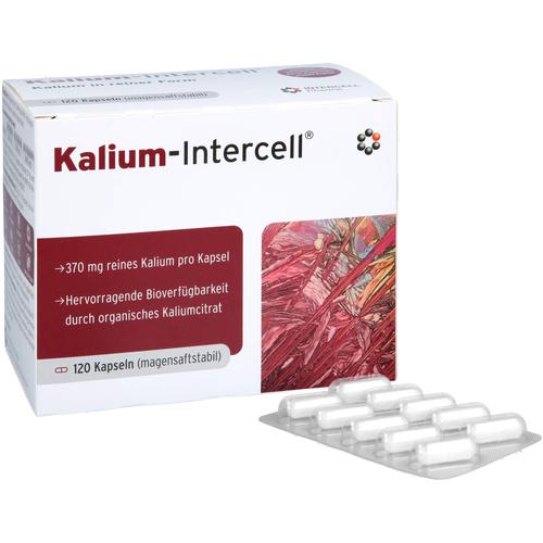 Kalium-Intercell 120 St INTERCELL-Pharma bei onfy.de kaufen 19275691