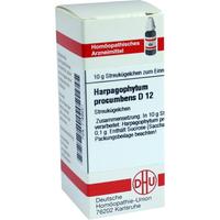 Harpagophytum Procum D12 null