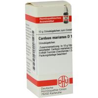 Carduus Marianus D 1 null
