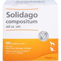 Solidago Comp Ad Us Vet null