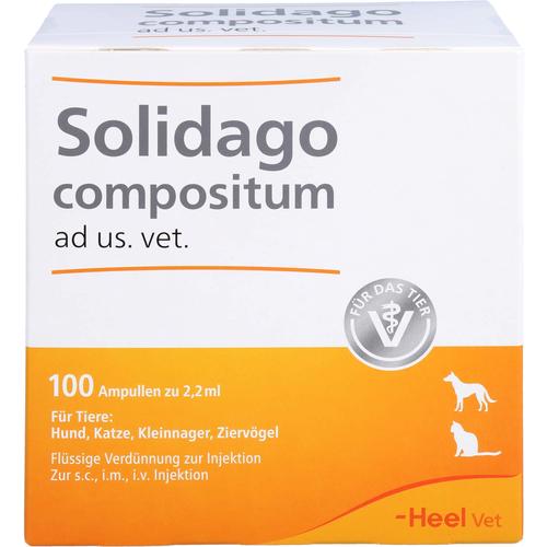 Solidago Comp Ad Us Vet 100 St Biologische Heilmittel Heel Gmbh bei onfy.de kaufen 01224090