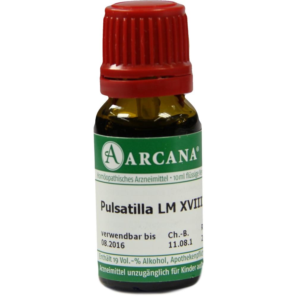 Pulsatilla Arca Lm 18 null