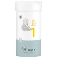 Biochemie Pflüger Nr. 1 Calcium Fluoratum D 12 null