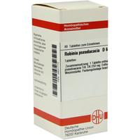 Robinia Pseud D 6 null