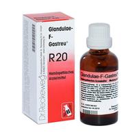 Glandulae-F-Gastreu R20 null