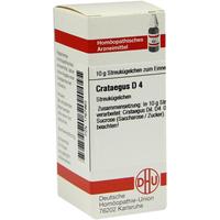 Crataegus D 4 null