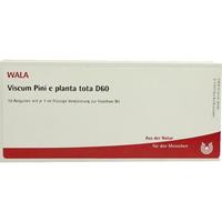 Viscum Pini E Planta Tota D60 null