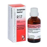 Scrophulae-Gastreu R17 null