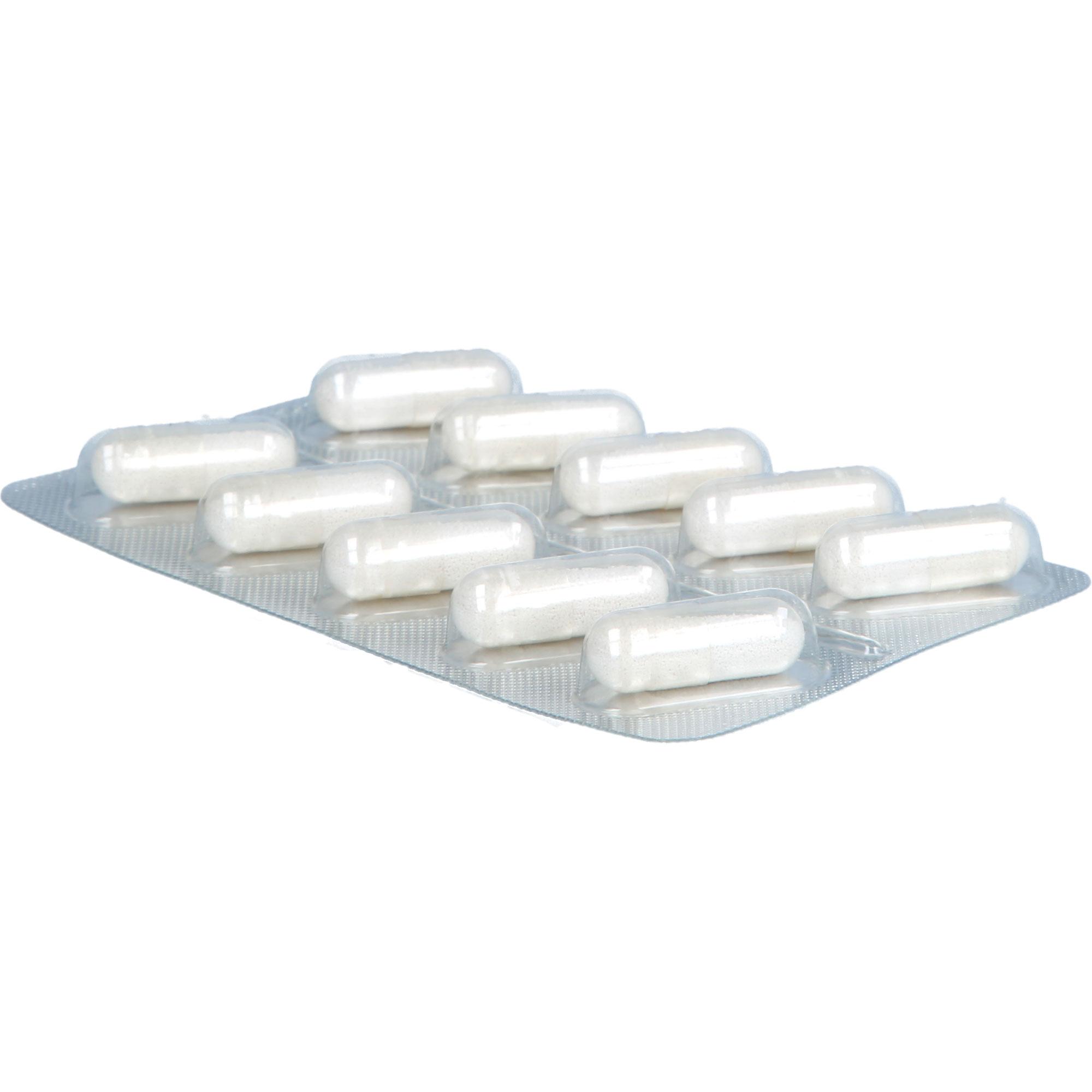 Magnesium-Intercell 400 120 St INTERCELL-Pharma bei onfy.de kaufen 19275656