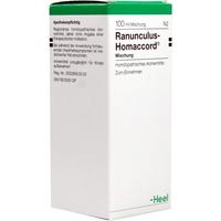 Ranunculus Homaccord