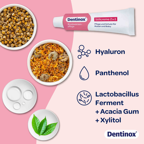 Dentinox Stillcreme 30 ml Dentinox Gesellschaft für pharmazeutische Präparate bei onfy.de kaufen 19144718