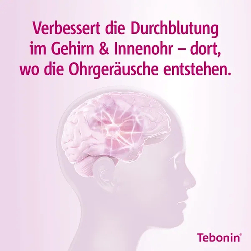 Tebonin Intens 120mg 30 St Dr.Willmar Schwabe bei onfy.de kaufen 07682333