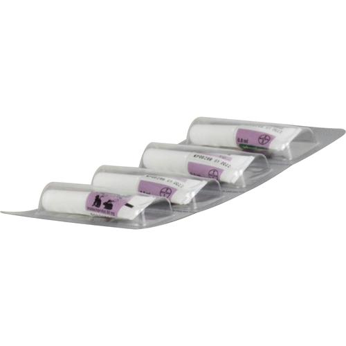 Advantage 80mg Katz+Zierka 4x0.8 ml Elanco Deutschland Gmbh bei onfy.de kaufen 09670104