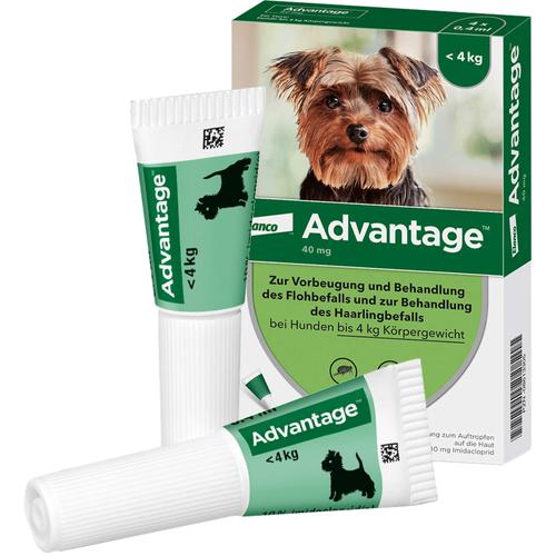 Advantage 40 Hund 4 St Elanco Deutschland Gmbh bei onfy.de kaufen 08613305