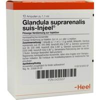 Glandula Sup Suis Inj O null