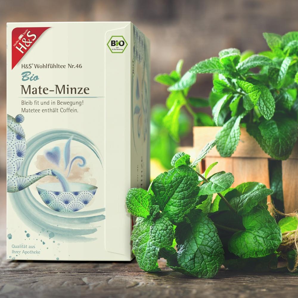 H&S Bio Mate-Minze 20x1.8 g H&S Tee - Gesellschaft bei onfy.de kaufen 17442564